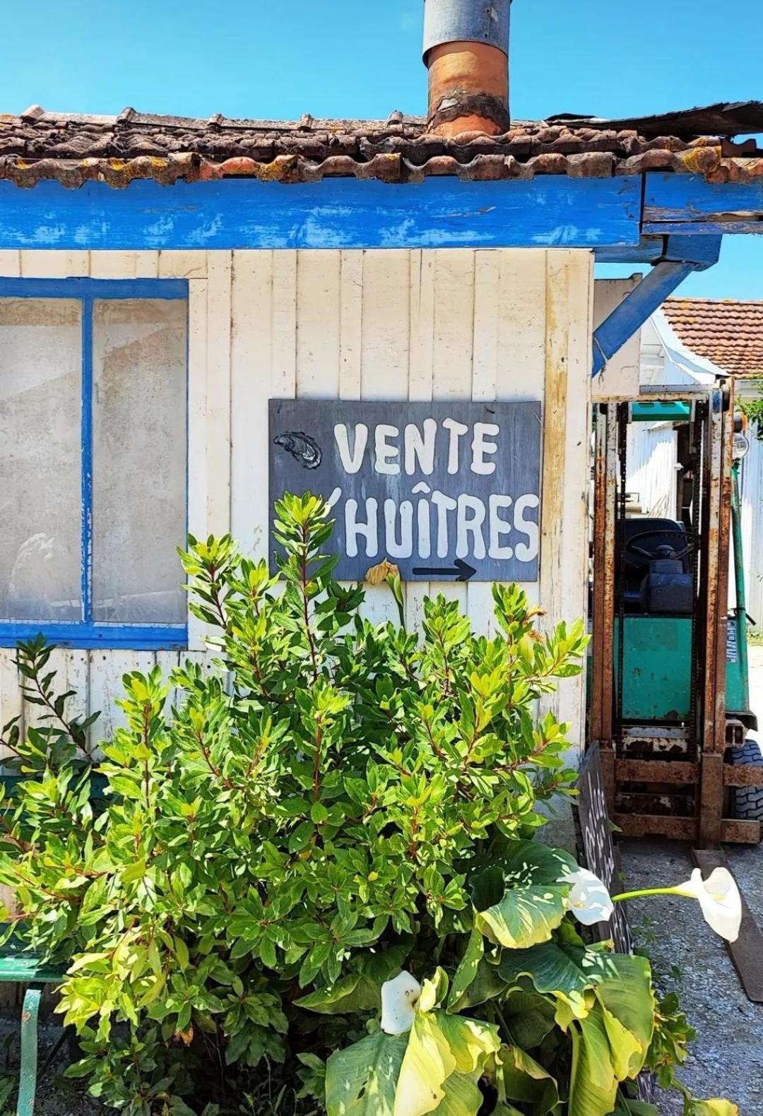 Villa Aitama Lège-Cap-Ferret Extérieur photo